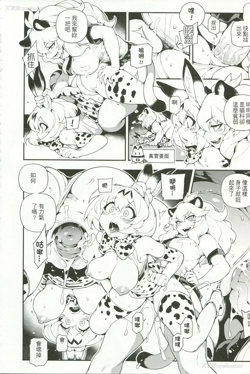 10P - (FF30) [熊掌社 (鱼生、俺正读)] BEAST FRIENDS (けものフレンズ) [中国语]