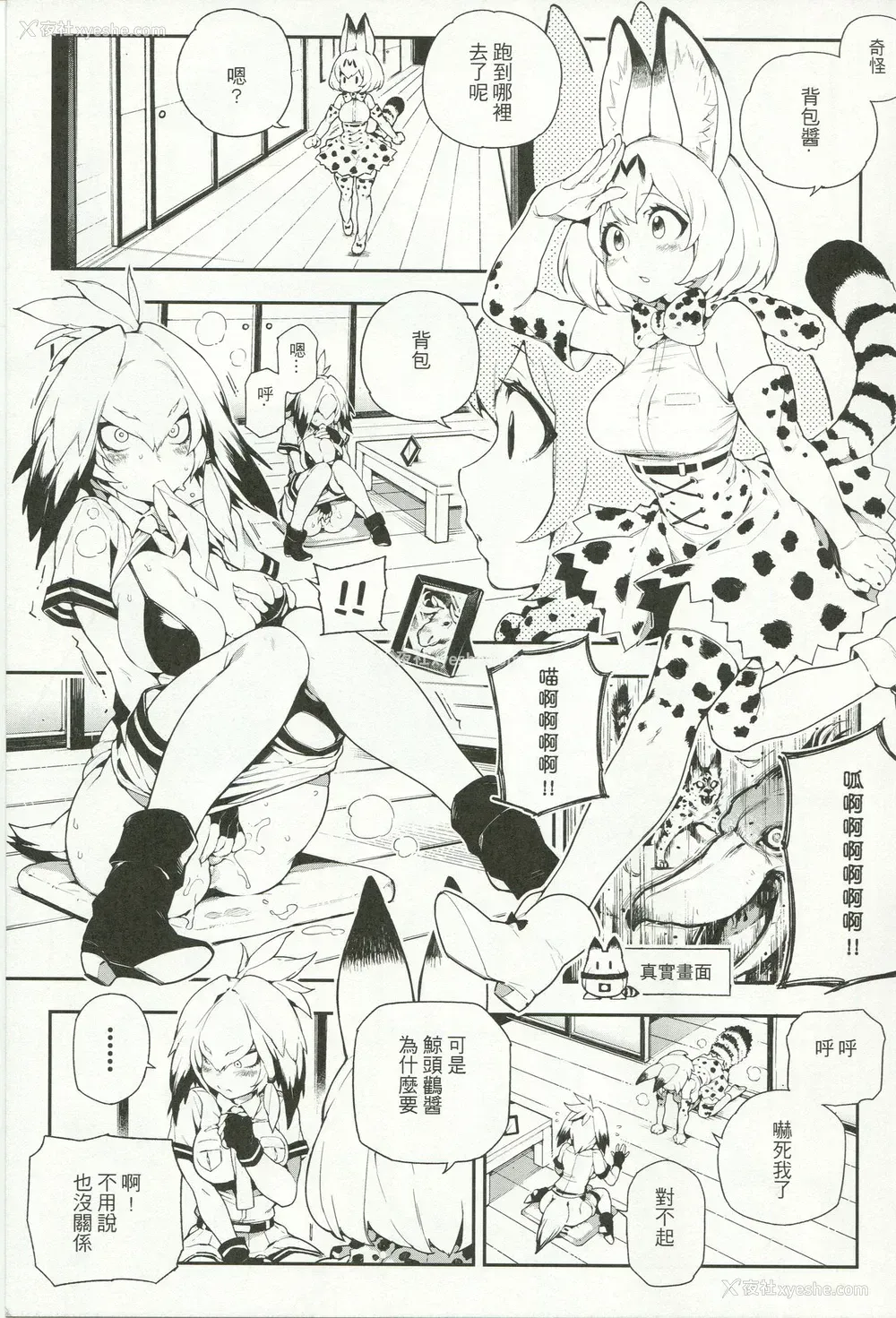 3P - (FF30) [熊掌社 (鱼生、俺正读)] BEAST FRIENDS (けものフレンズ) [中国语]