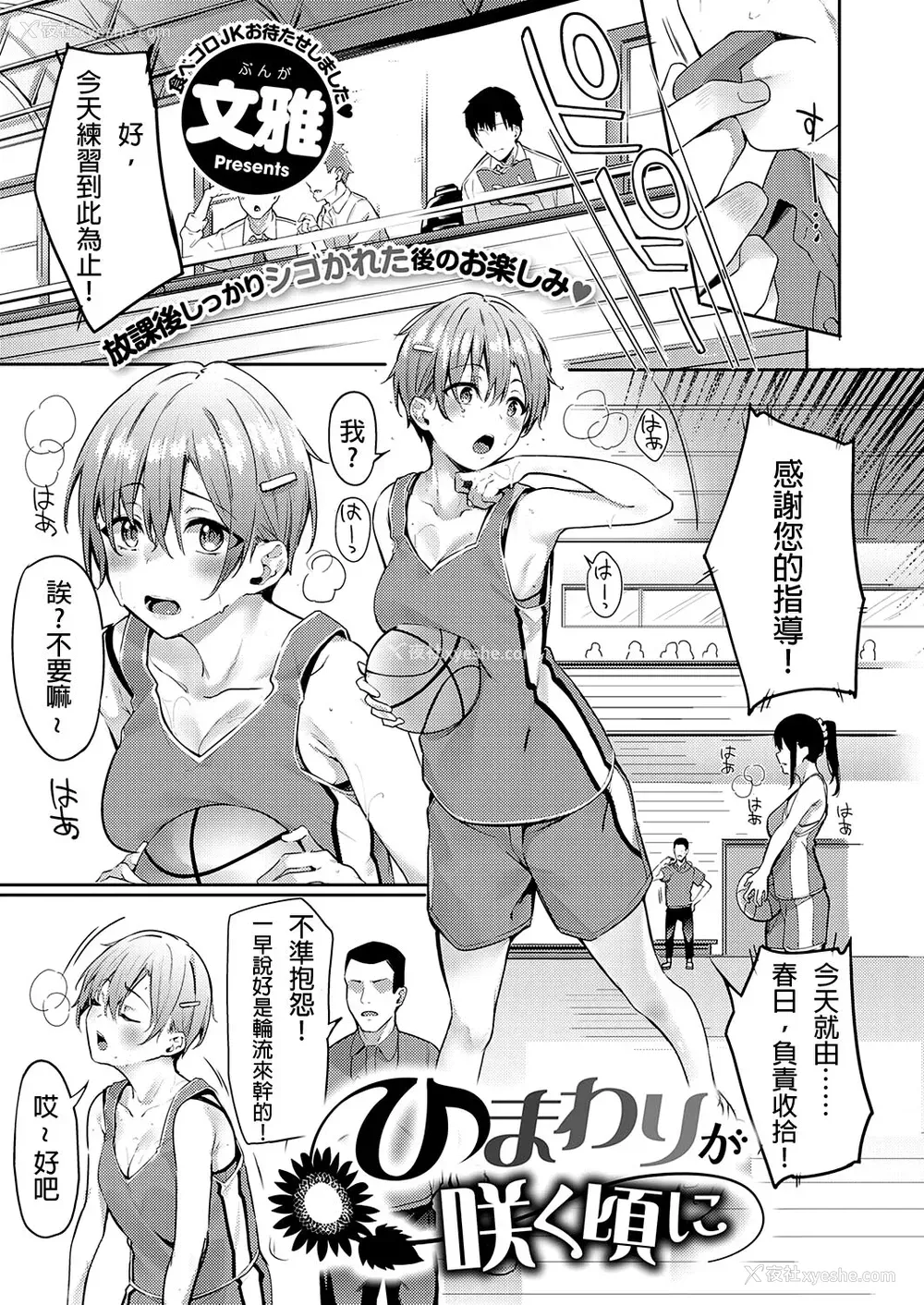 1P - [文雅] ひまわりの咲く顷に (コミック エグゼ 34)
