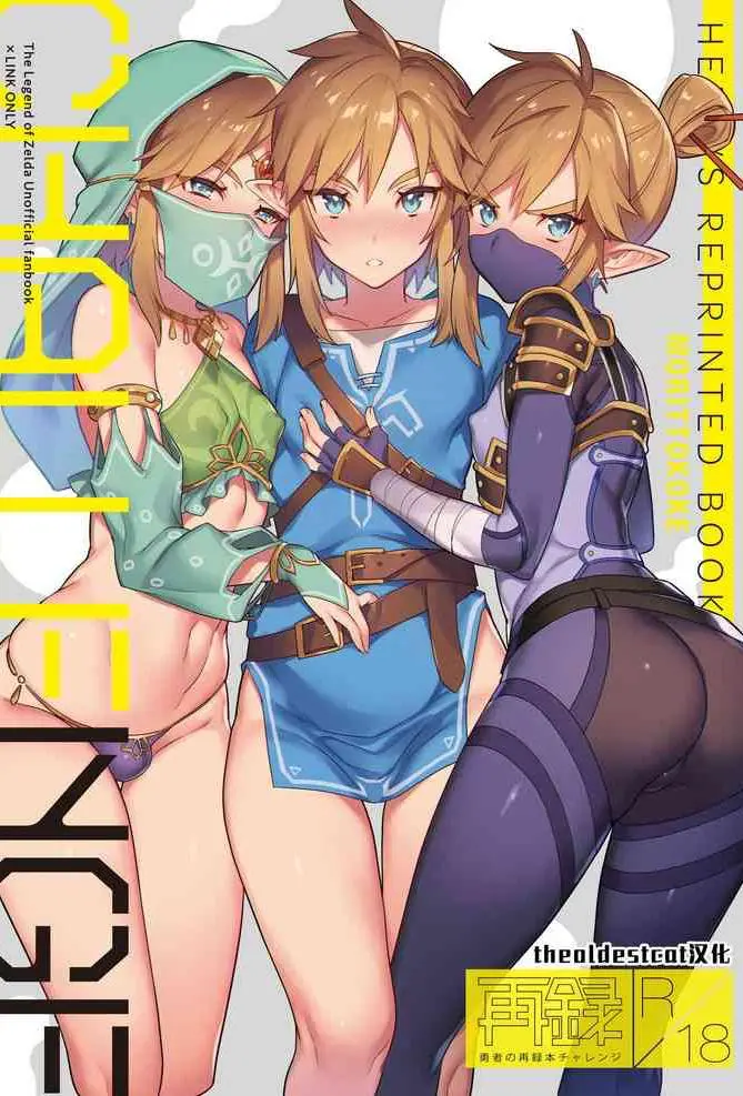 [もりっとこけ (もり苔)] 勇者の再录本チャレンジ (ゼルダの伝说) [中国翻訳] [DL版] [ページ欠落]
