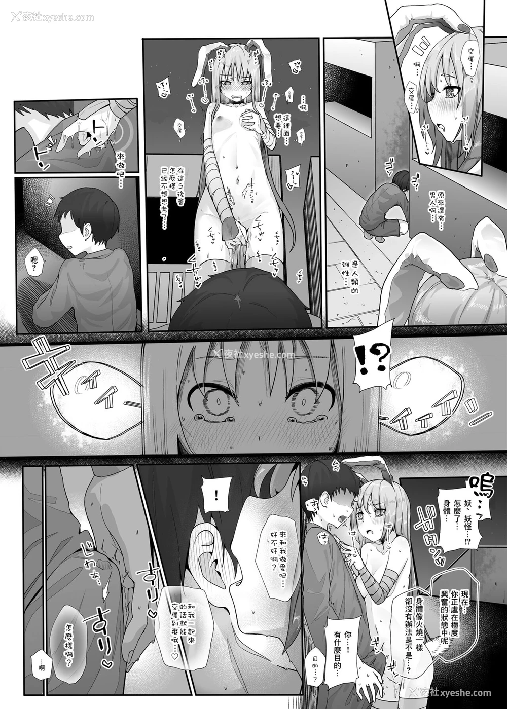 18P - [からももたると (きんだつ)] 発情兎の夜は永い (东方Project)