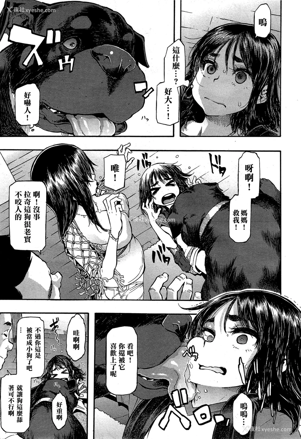 4P - [新堂エル] ラッキー❤ゆい (纯爱イレギュラーズ）