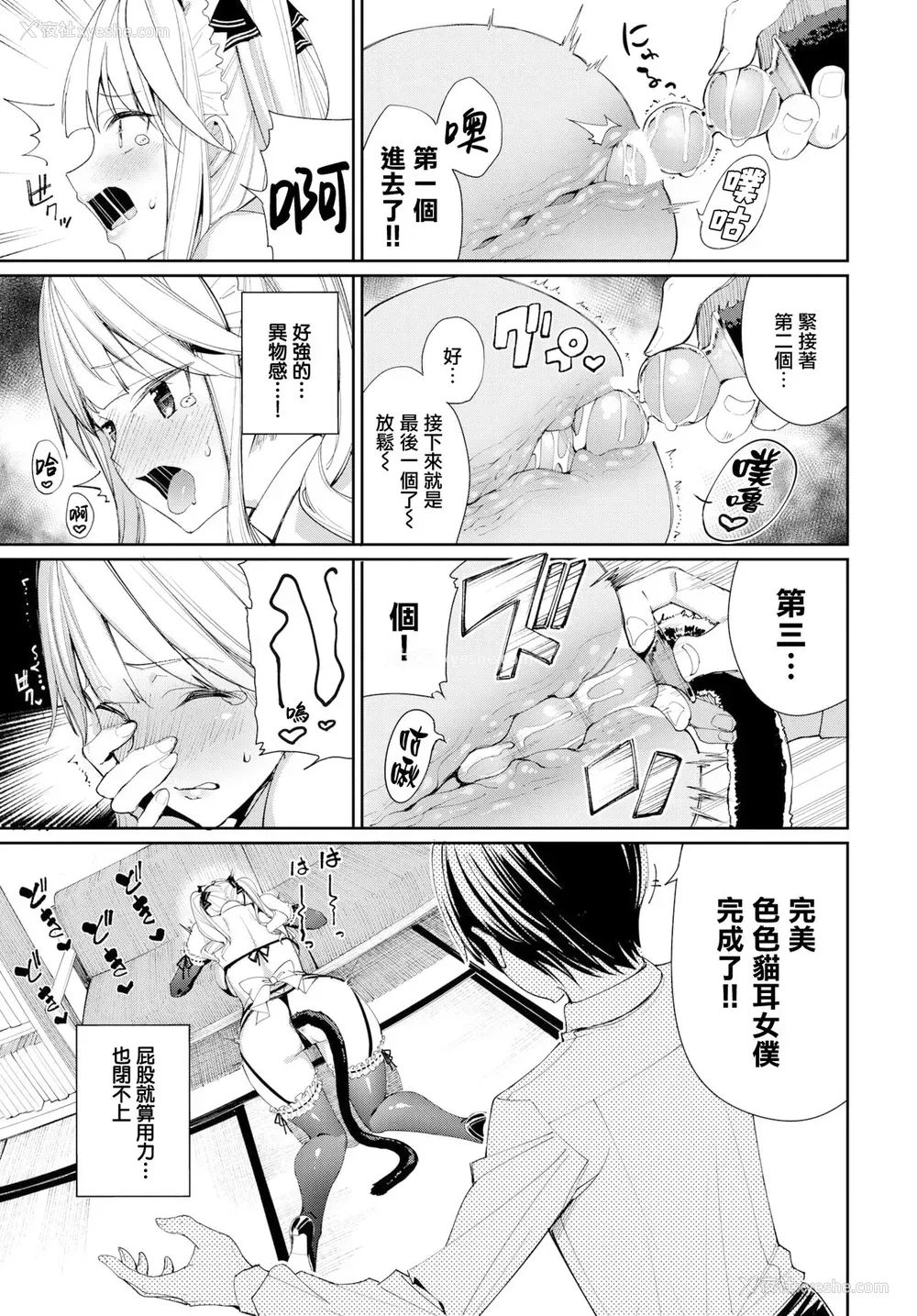 5P - [朝峰テル] ネコメイドとツンデレ彼女