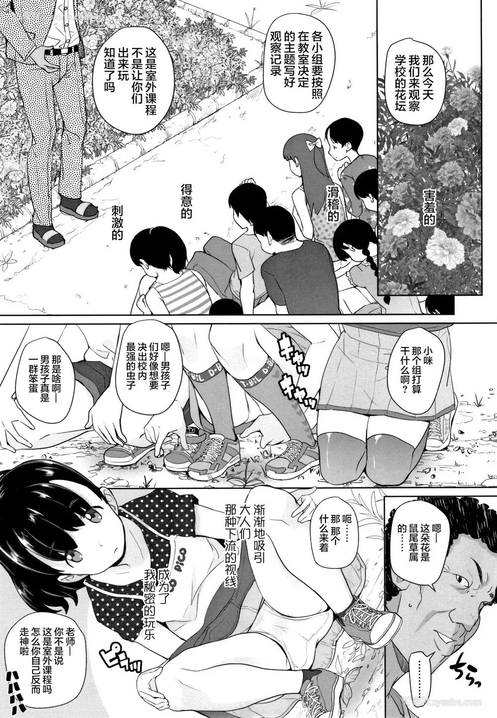 4P - [オオカミうお] 覗く人、覗かれる人2 (ふくらみかけの见せたがり愿望)