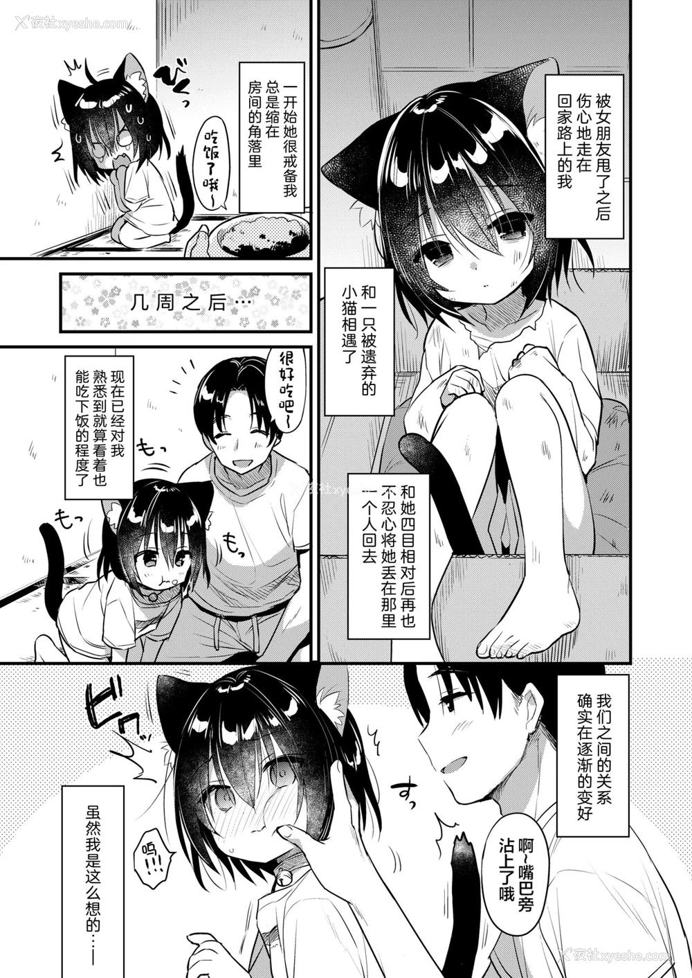 5P - [日本ケモ耳推奨委员会 (よろず)] けもみみ きゅんきゅん