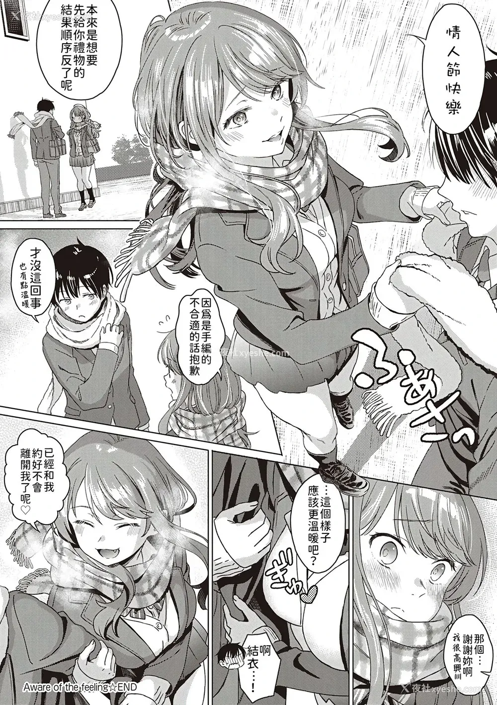 20P - [箕山] Aware of the feeling (深窓の华娵)