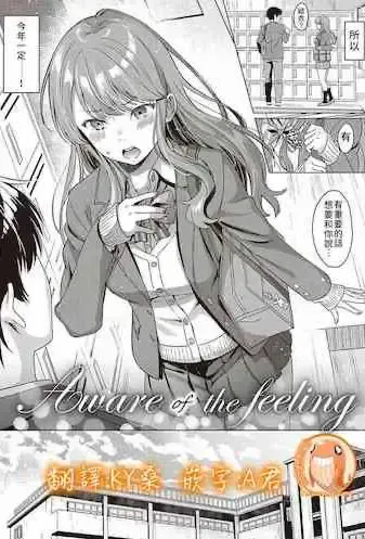 [箕山] Aware of the feeling (深窓の华娵)