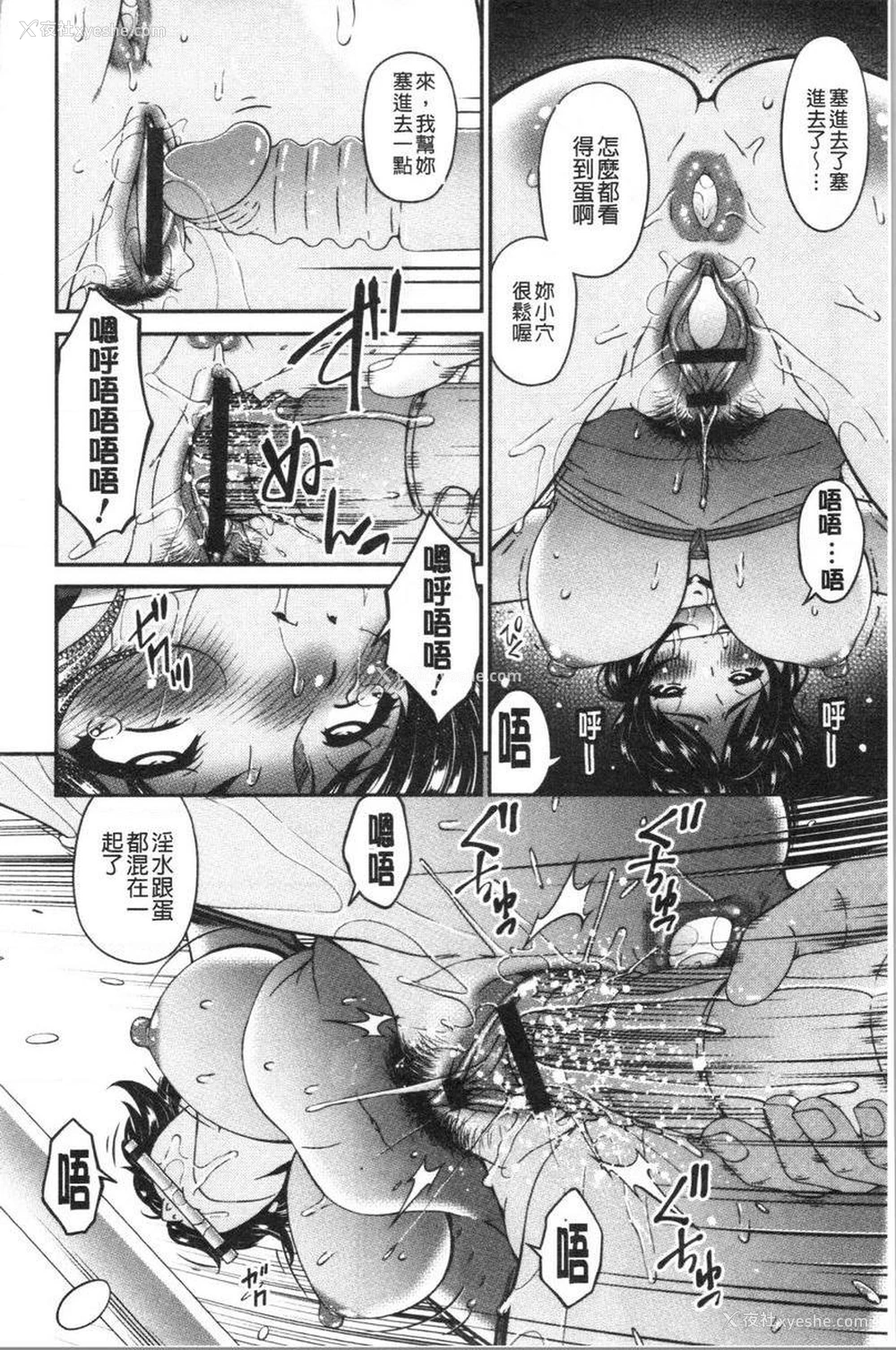 16P - 职隶