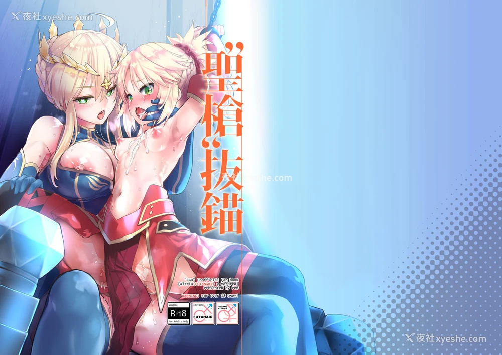 28P - [Peθ (もず)] "圣枪"抜锚 (Fate/Grand Order) [中国翻訳] [DL版]