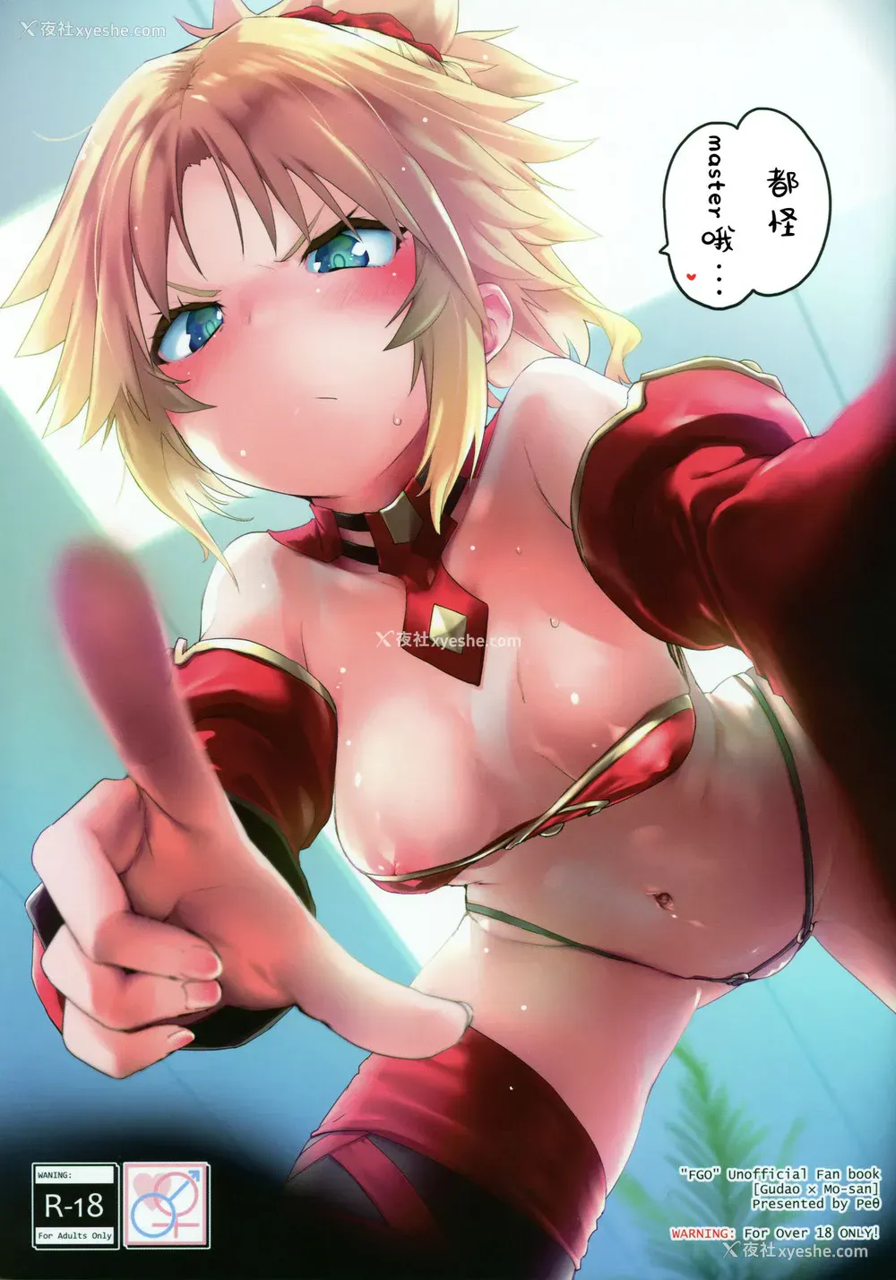 1P - (C97) [Peθ (もず)] マスターのせいだぞ… (Fate/Grand Order) [中国翻訳]
