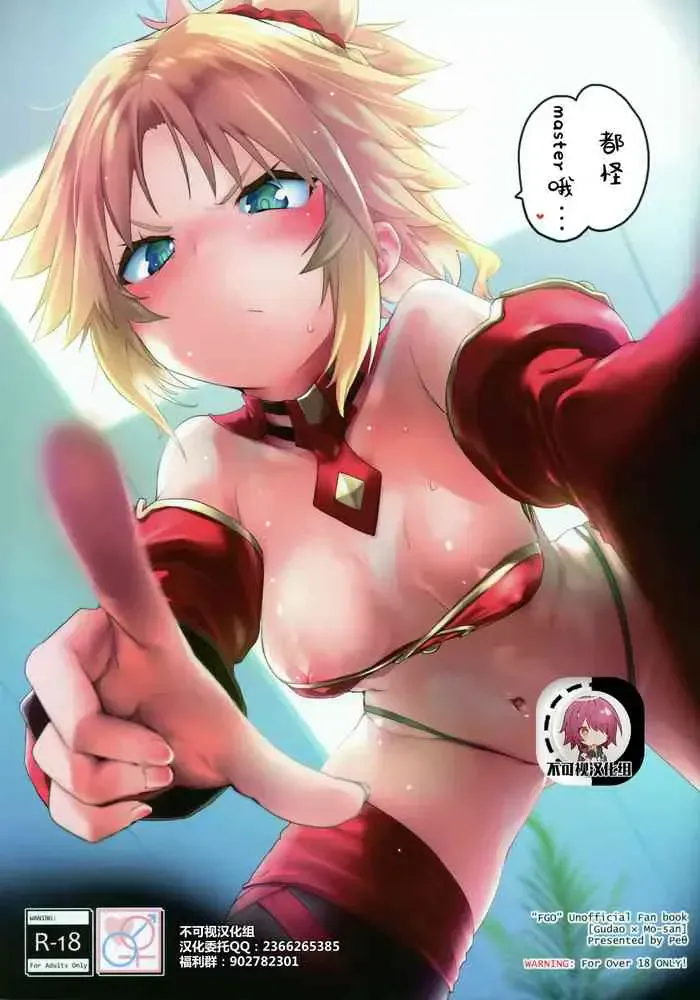 (C97) [Peθ (もず)] マスターのせいだぞ… (Fate/Grand Order) [中国翻訳]