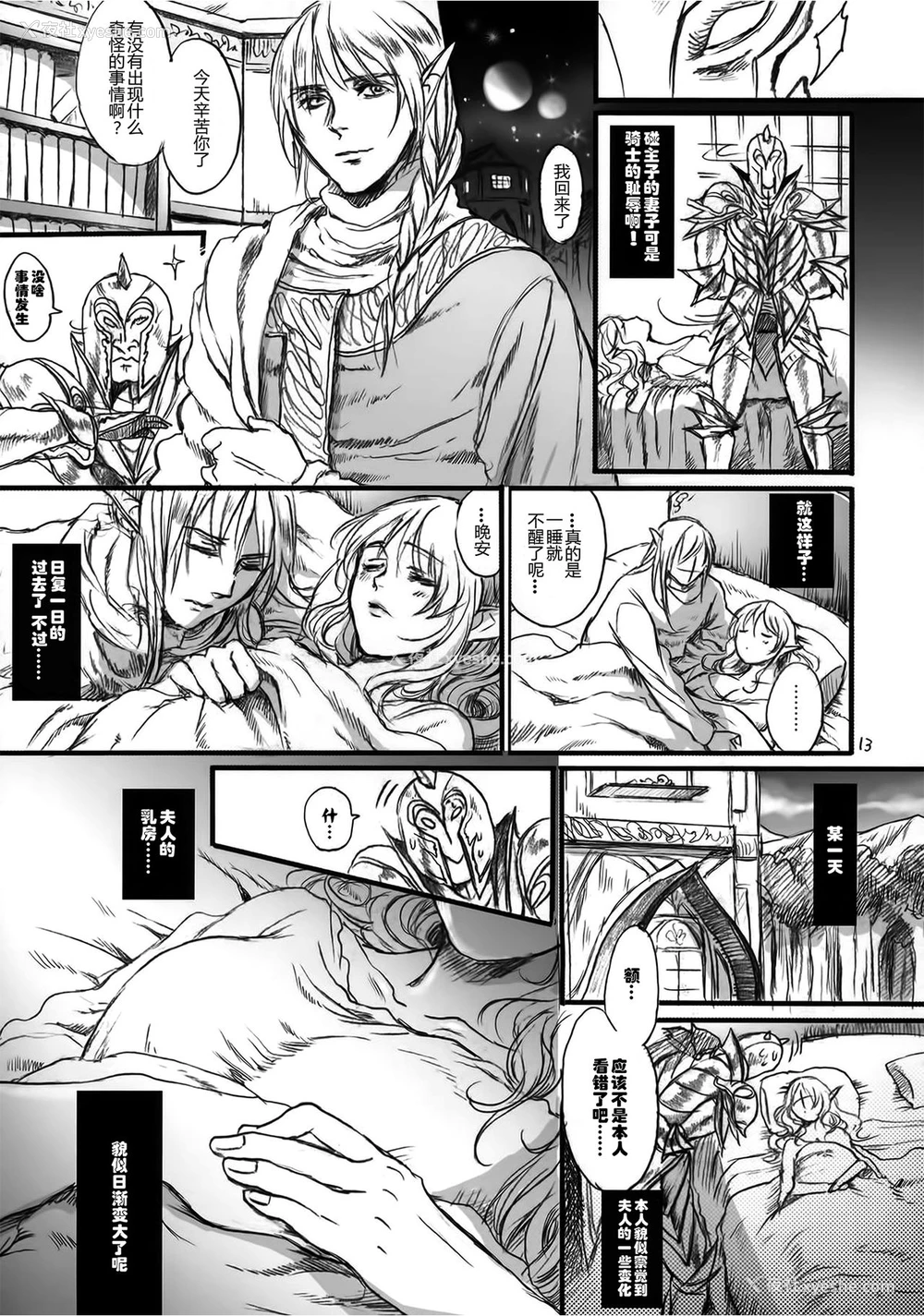 12P - (COMIC1☆9) [Flieger (貂)] 贵宅警备员 [中国翻訳]