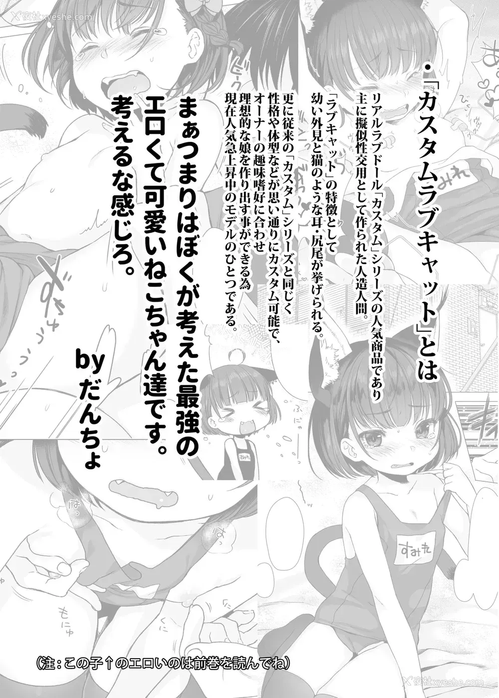 2P - (C90) [秘密结社うさぎ (だんちょ)] CUSTOMLOVECATs 3rd [中国翻訳]