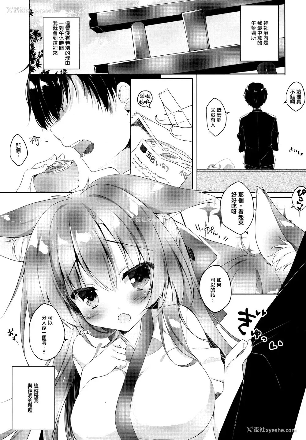 5P - (C95) [Curiocity (やたぬき圭)] もふりふれ [中国翻訳]