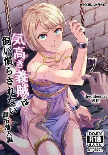 [うさみみしんどろーむ (えるたすく)] 気高き义贼は饲い惯らされない 暗市潜入编 [中国翻訳] [DL版]