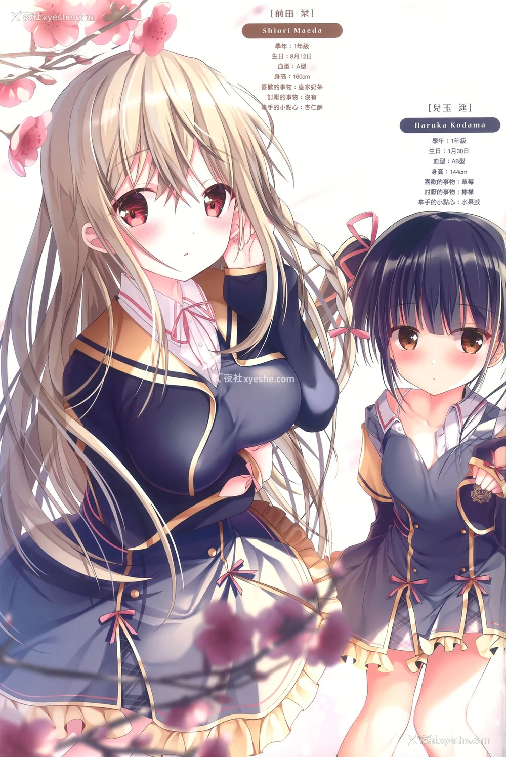 16P - [TwinBox (花花卷、草草馒)] Teacher Teacher 2 [中国翻訳] [2019年1月19日]