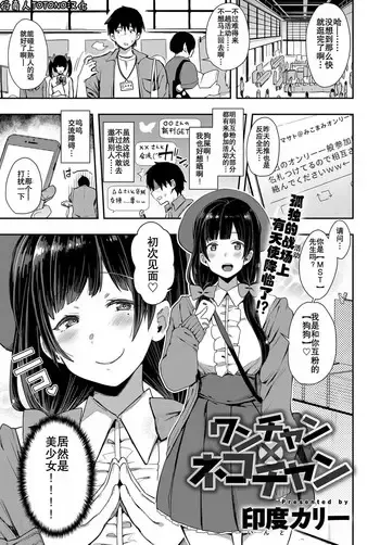 [印度カリー] ワンチャン×ネコチャン (COMIC アンスリウム 2018年7月号) [中国翻訳] [DL版]