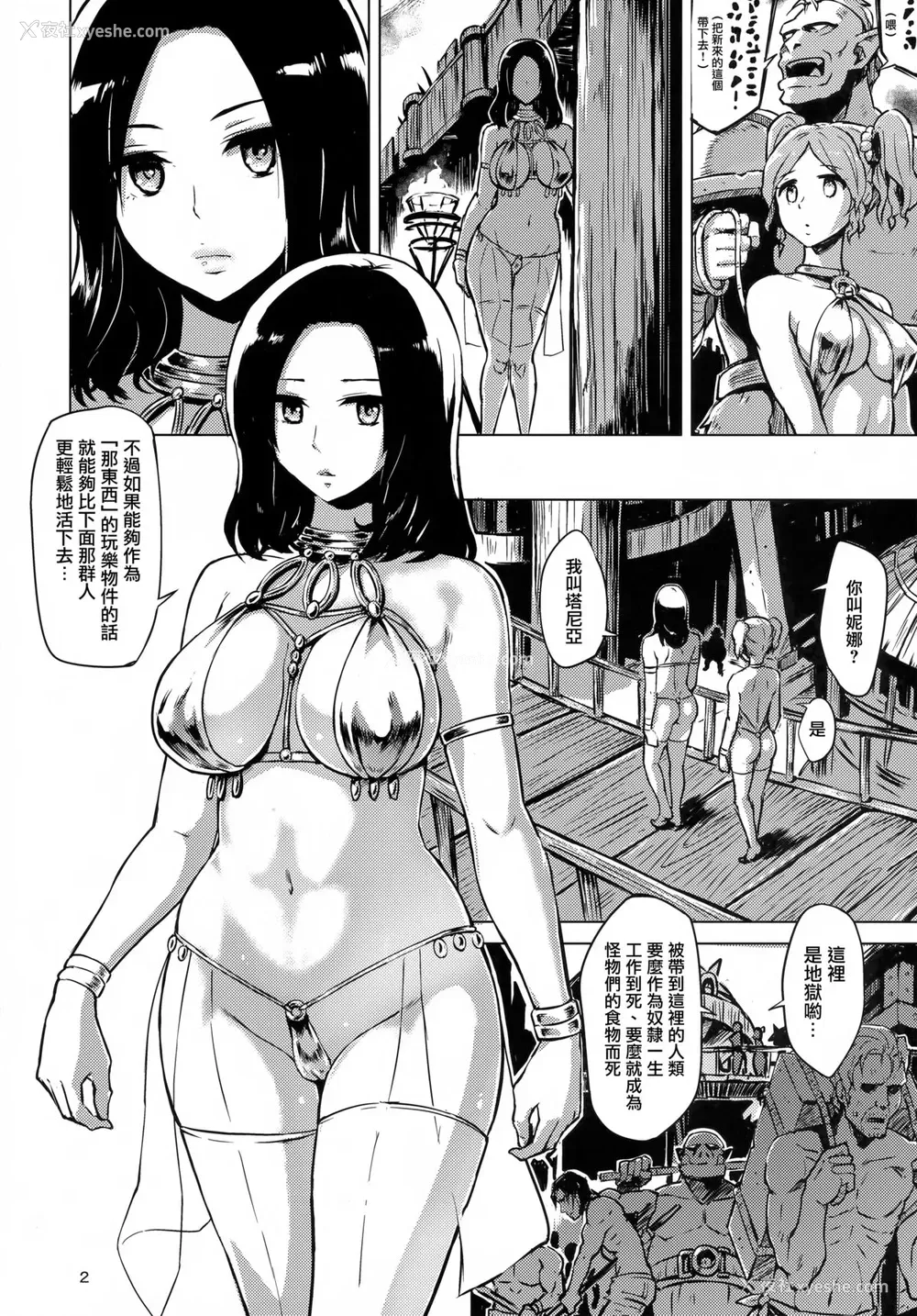 4P - (C88) [V-SLASH (夕雾)] Dark Palace 淫欲の宫殿 [中国翻訳]