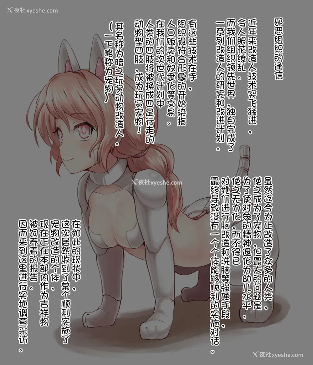15P - [カニフライ (Kanif)] 人口爱玩动物 [中国翻訳]