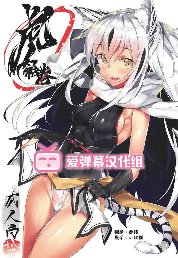 (C96) [小糸创作所 (ひなた睦月)] 虎絵巻 (Fate/Grand Order) [中国翻訳]