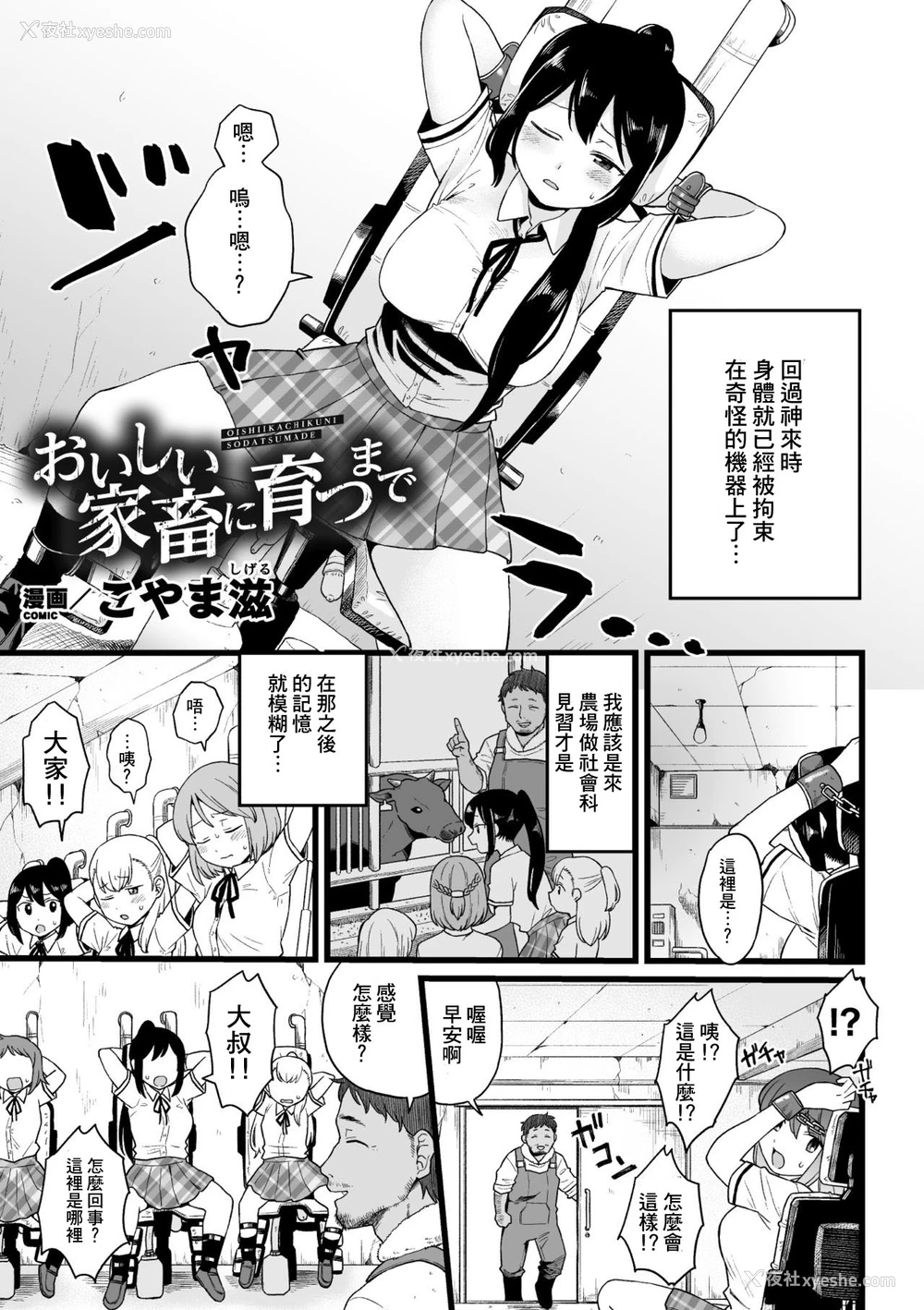 1P - [こやま滋] おいしい家畜に育つまで (二次元コミックマガジン 机械奸人间牧场Vol.1) [中国翻訳] [DL版]