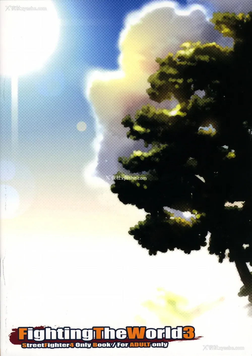 26P - (C75) [ReDrop (宫本スモーク、おつまみ)] Fighting The World 3 (ストリートファイター) [中国翻訳]