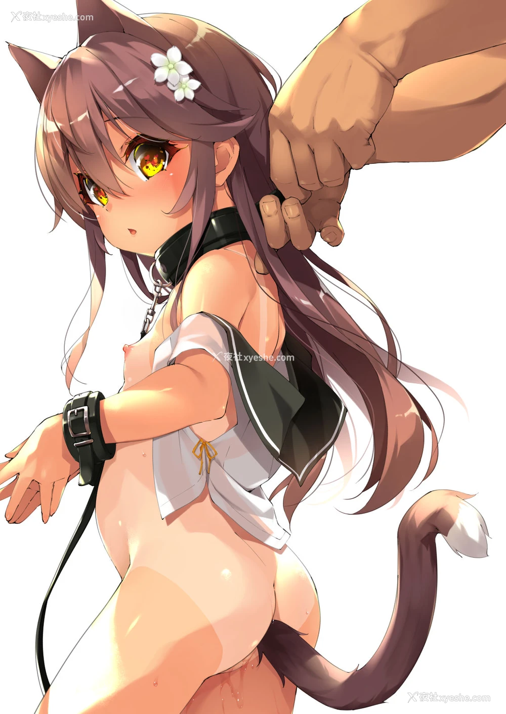 29P - [ネコゴショ (ヤナギユウ)] Neko Neko Note 8 猫耳尻尾の日焼けロリに首轮をつけてイチャラブ生活する本 [中国翻訳] [DL版]