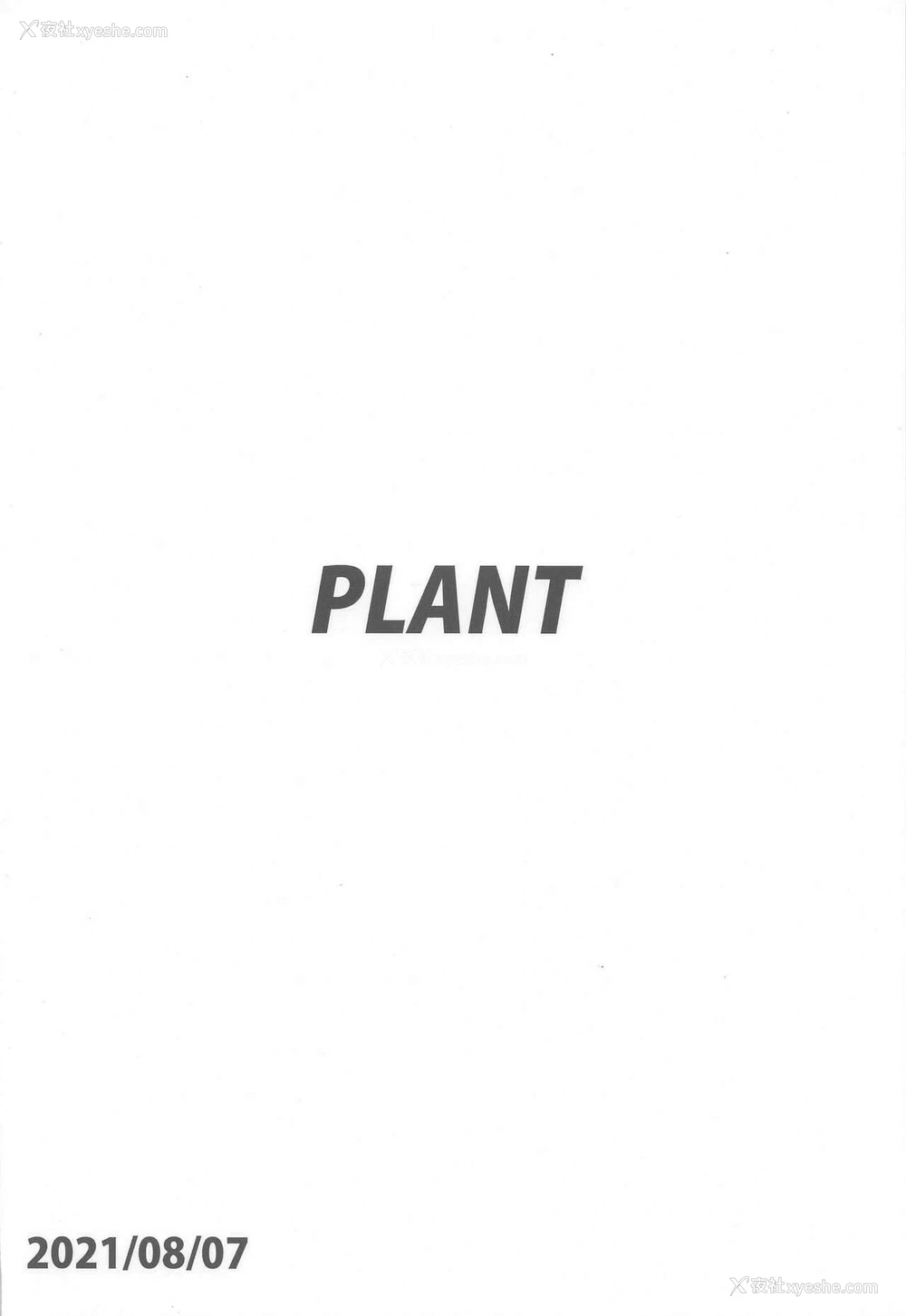 34P - (第2回ウルトラサマーフェスタ) [PLANT (鹤井)] 秋叶さまのプレゼント (月姫) [中国翻訳]