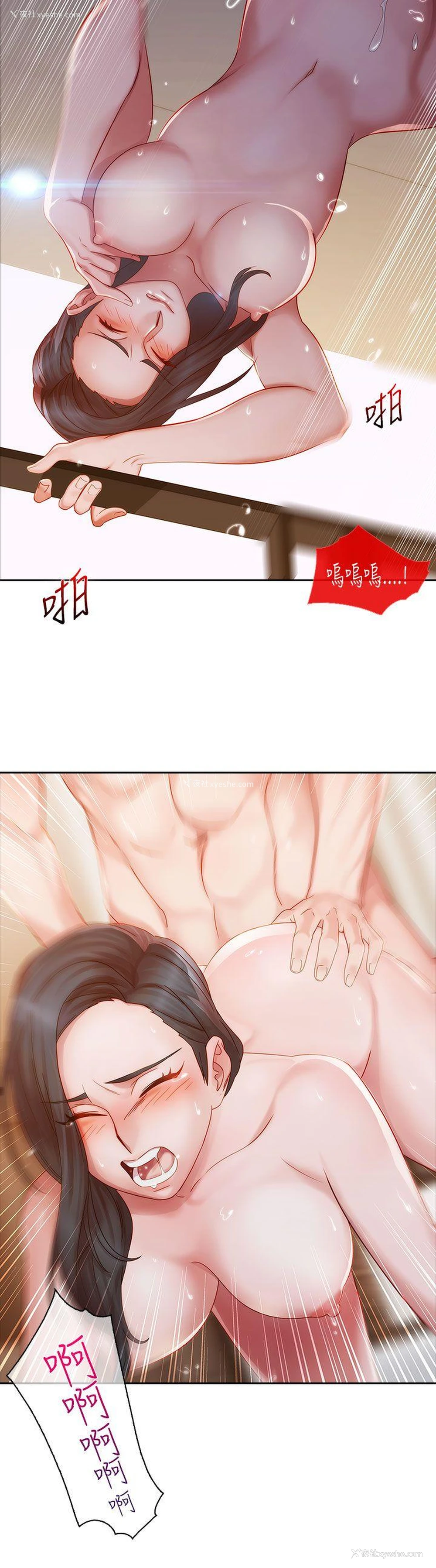 12P - 淑女花苑