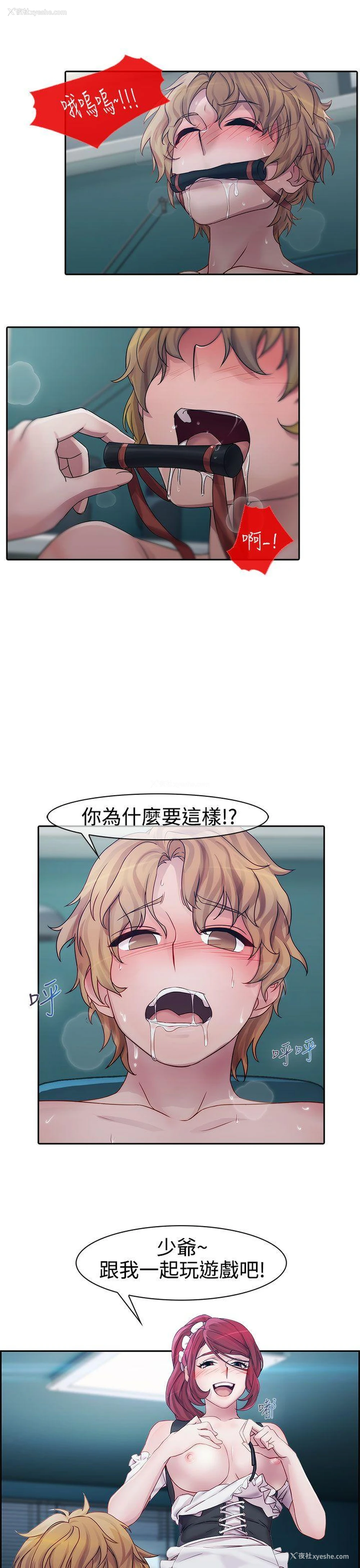 4P - 淑女花苑