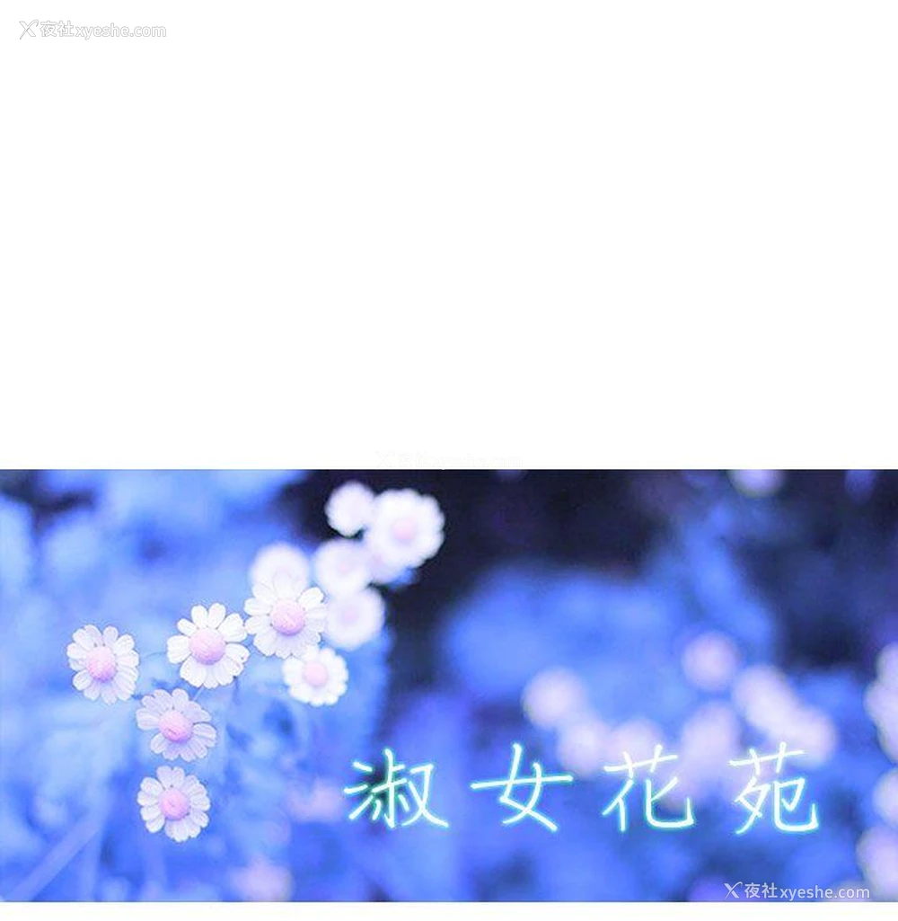 11P - 淑女花苑