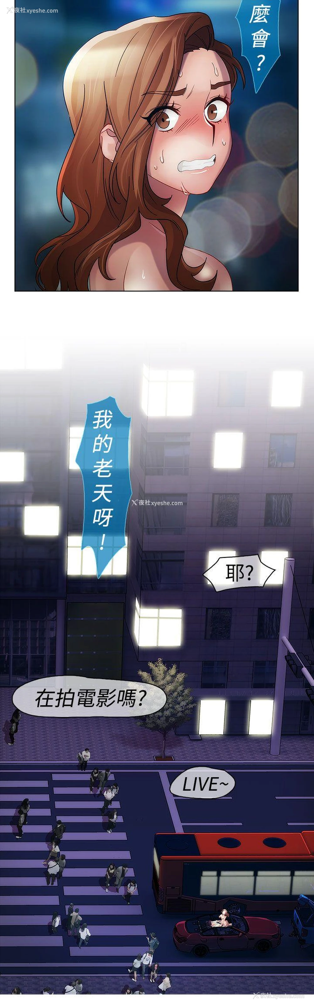 27P - 淑女花苑