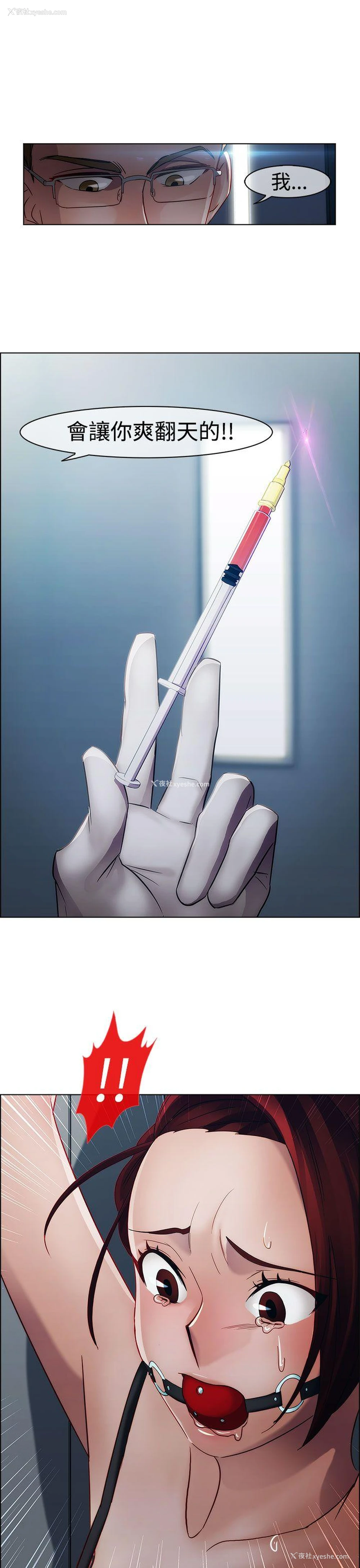 8P - 淑女花苑