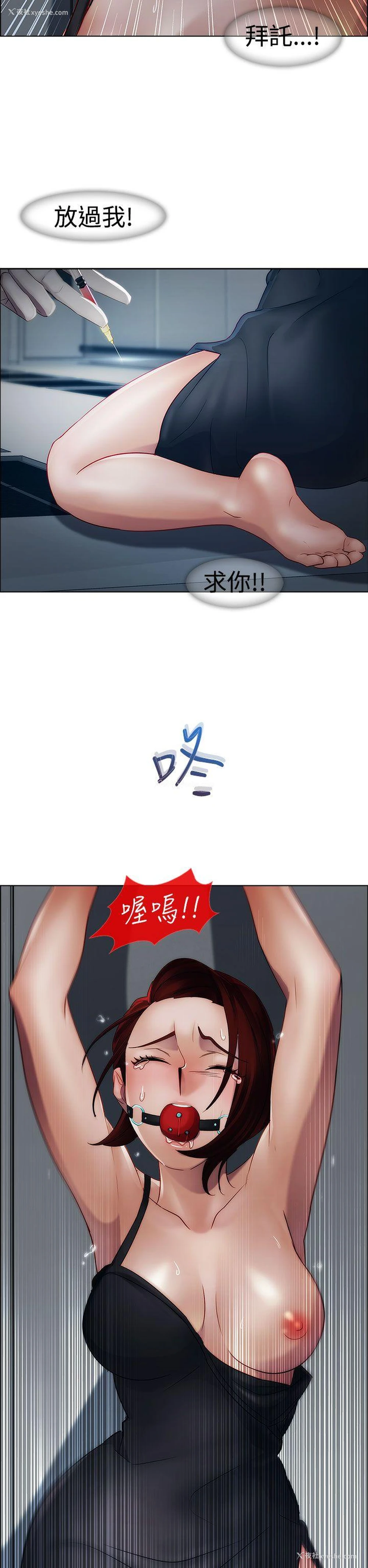 9P - 淑女花苑