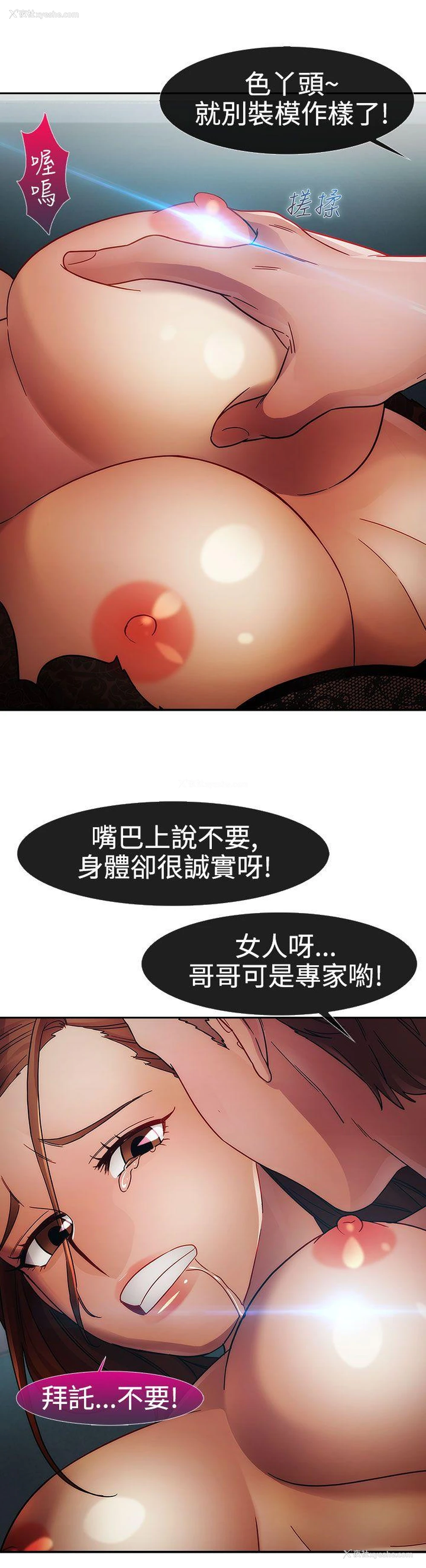 5P - 淑女花苑