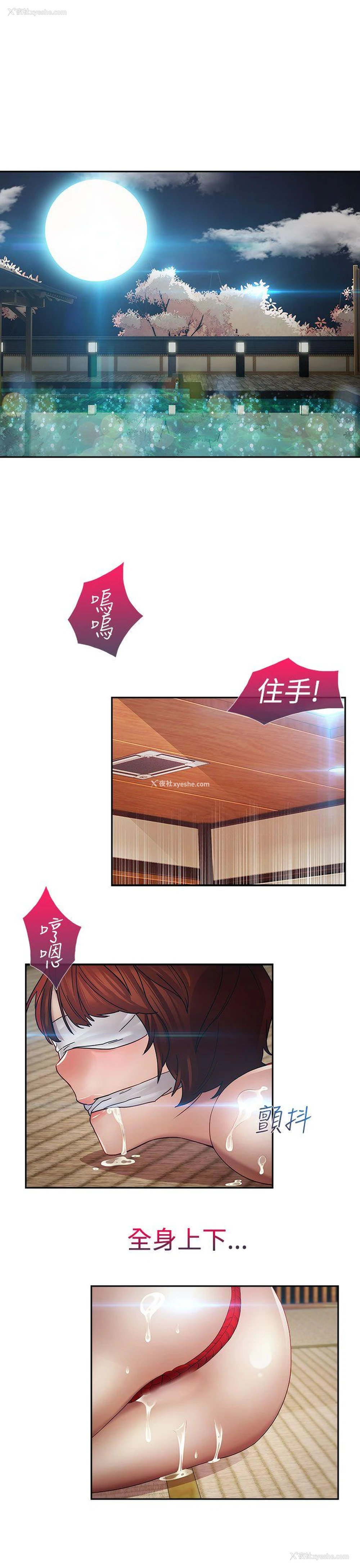 13P - 淑女花苑
