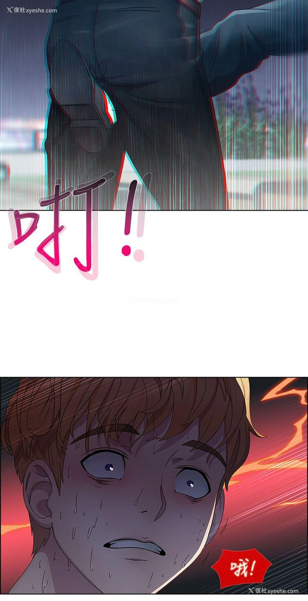 8P - 淑女花苑