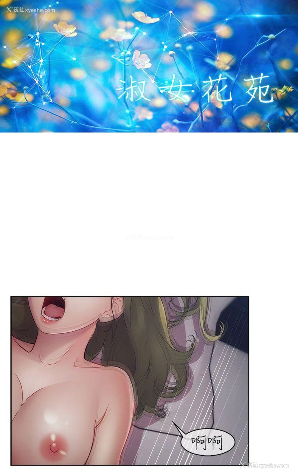12P - 淑女花苑