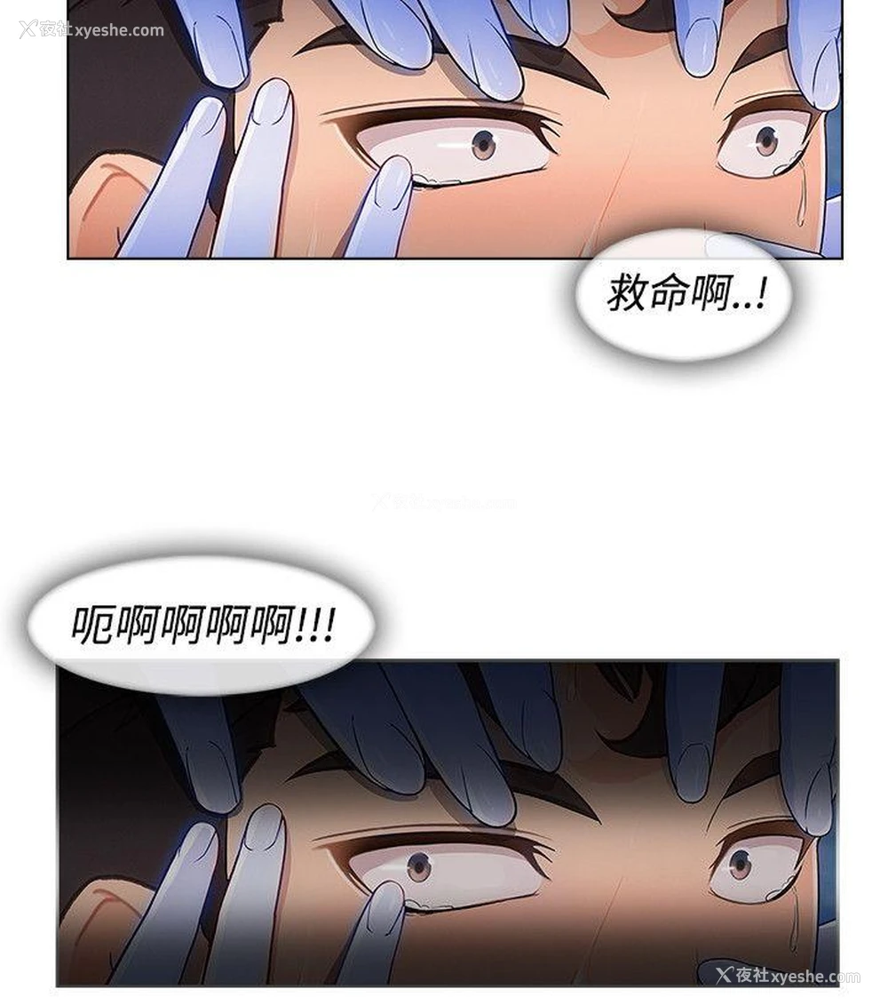 6P - 淑女花苑