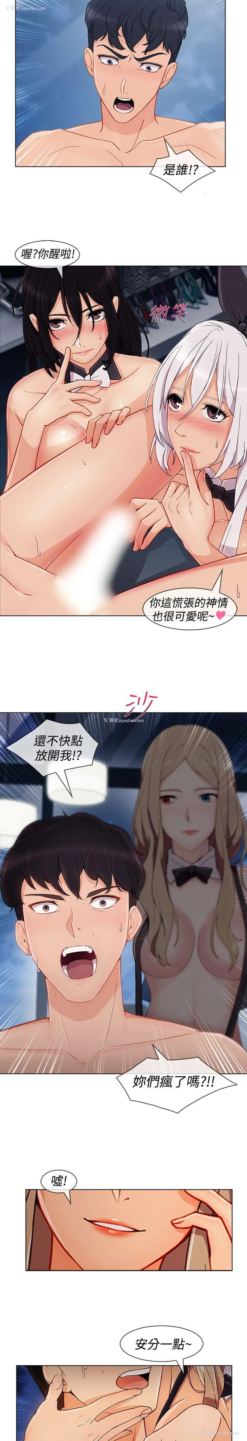 8P - 淑女花苑