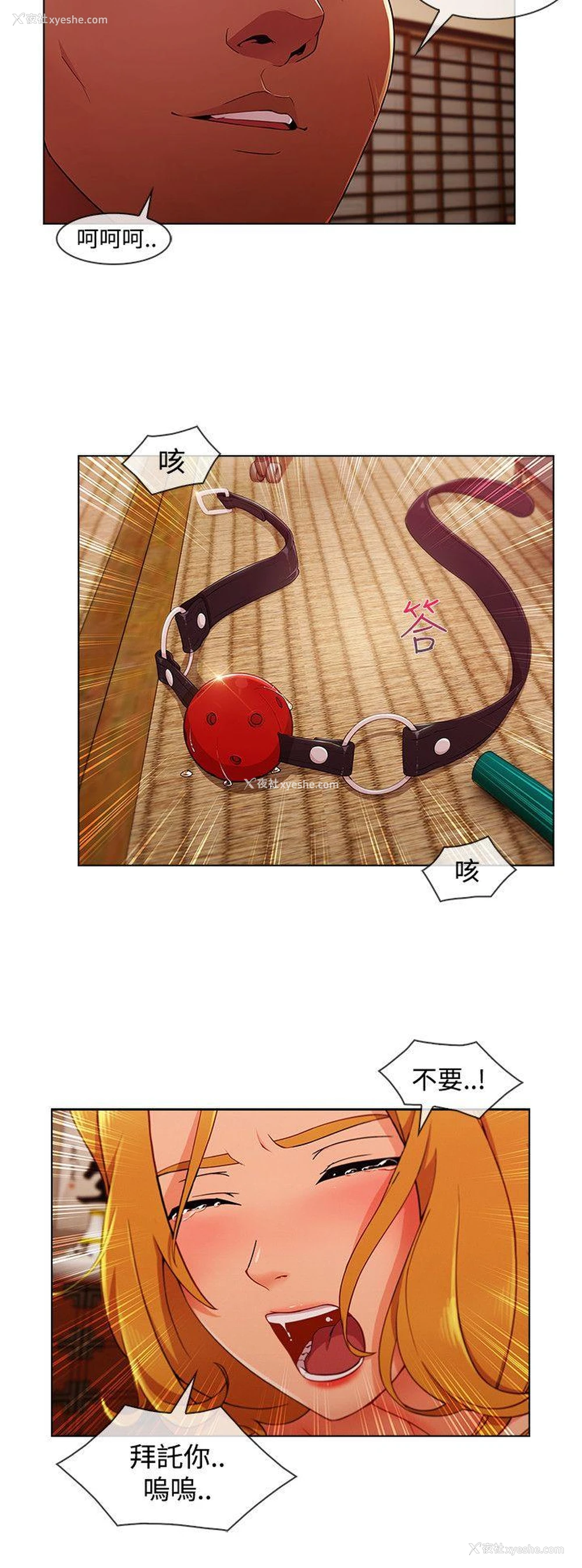 14P - 淑女花苑
