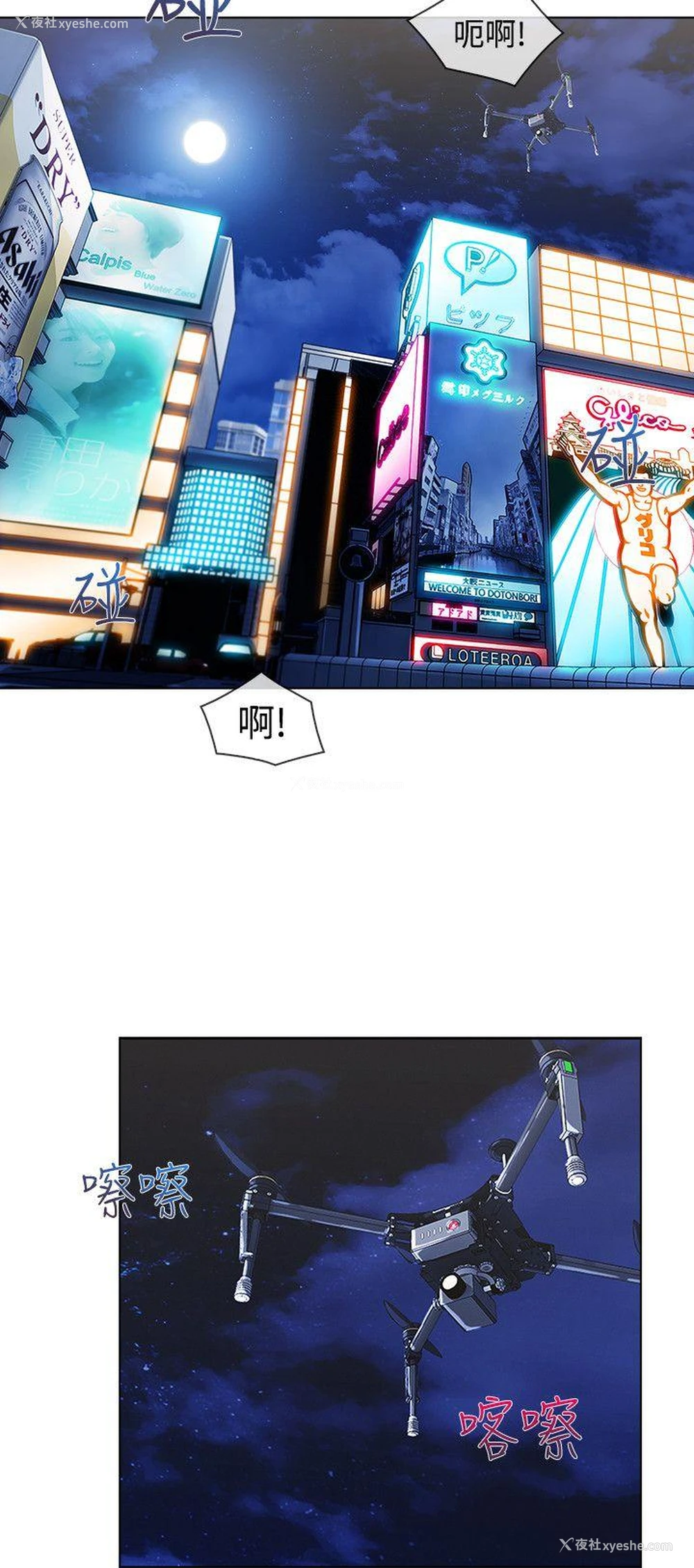 11P - 淑女花苑