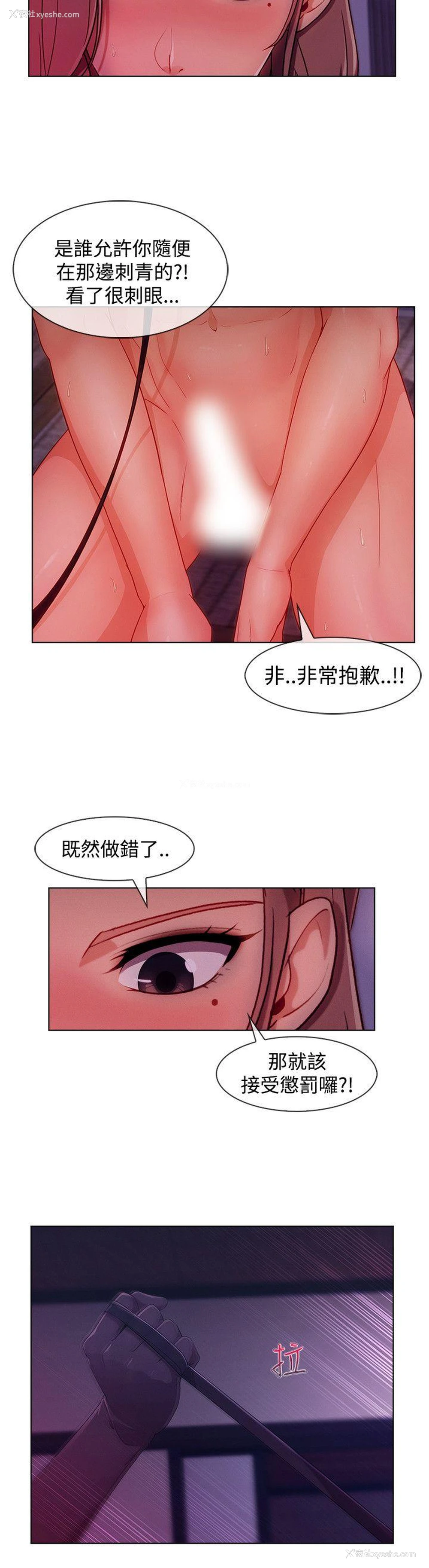 16P - 淑女花苑