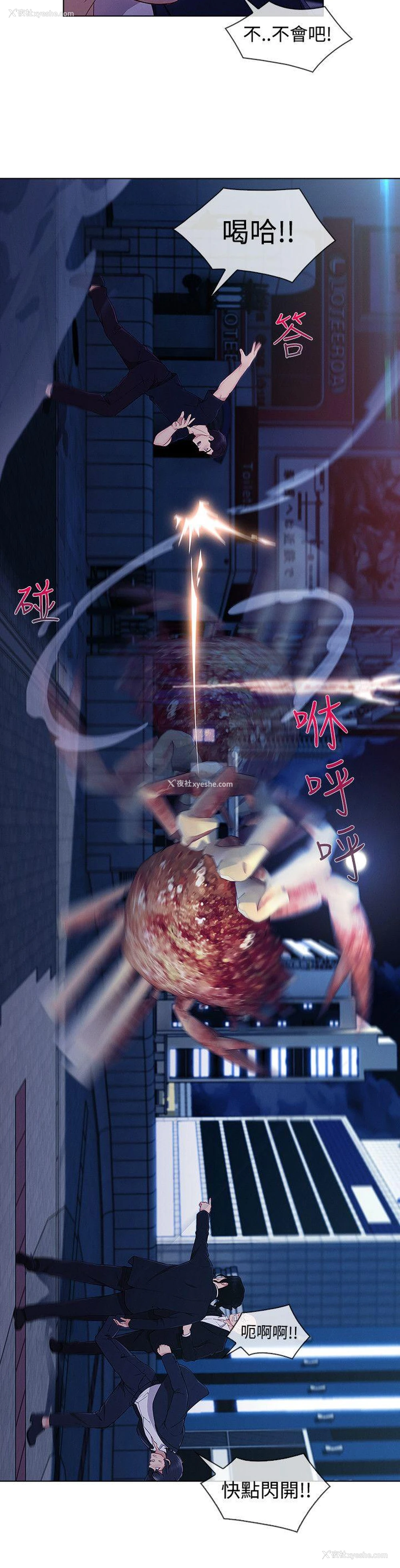 8P - 淑女花苑