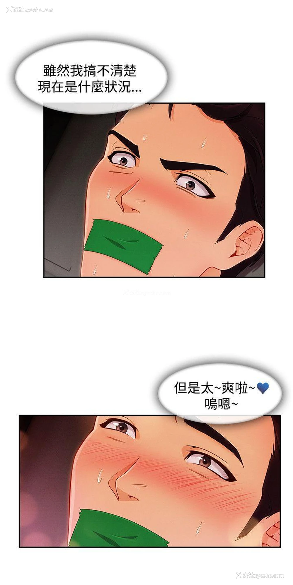 12P - 淑女花苑
