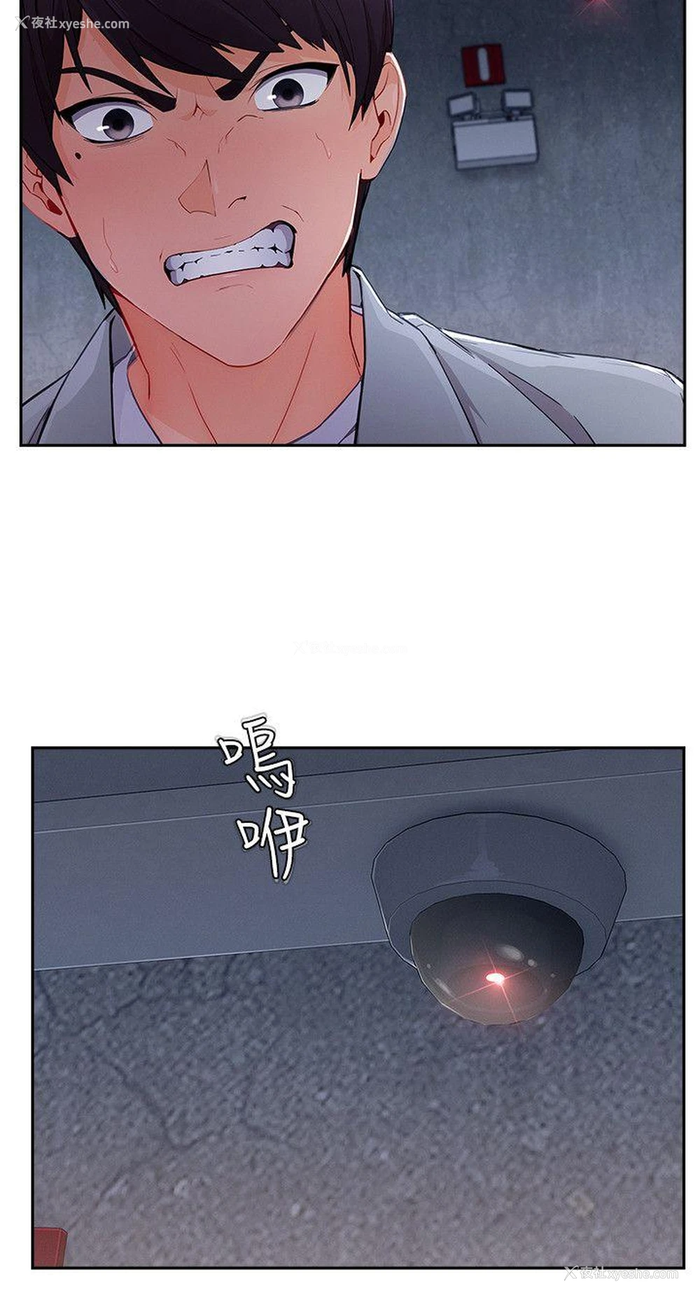 5P - 淑女花苑