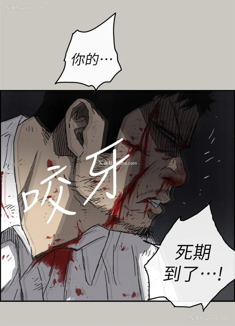 16P - MAD:小姐与司机