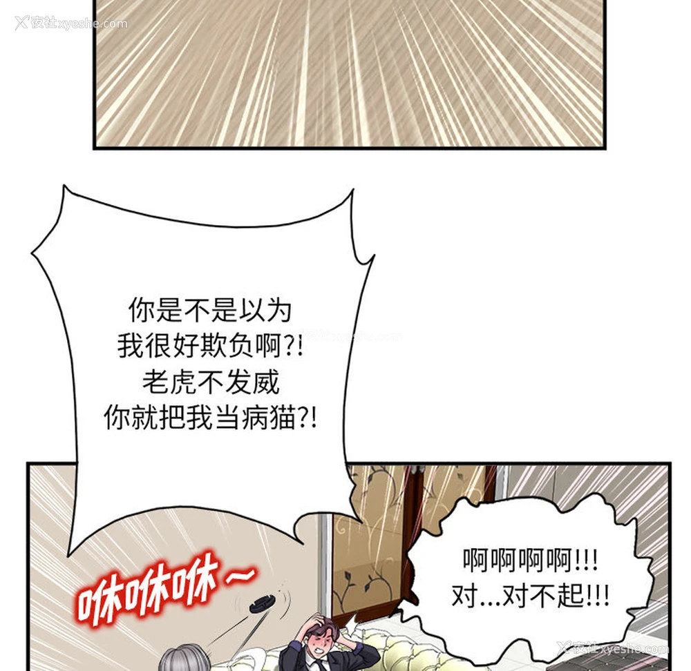 36P - 当真爱找上门来（不该爱上你）