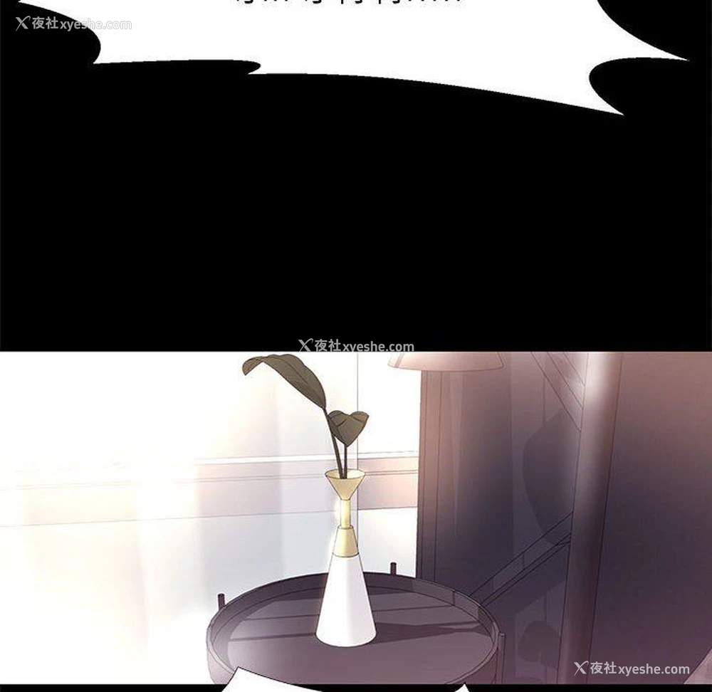 24P - OL蜜巢