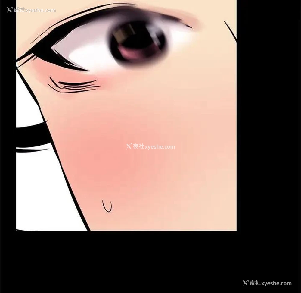 16P - OL蜜巢